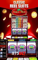Sistemas de Segurança 875bet